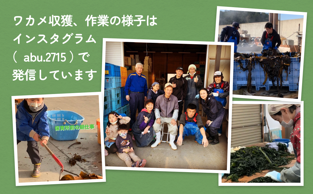 世界三大漁場の恩恵をうけて育った塩蔵わかめ わかめ 三陸