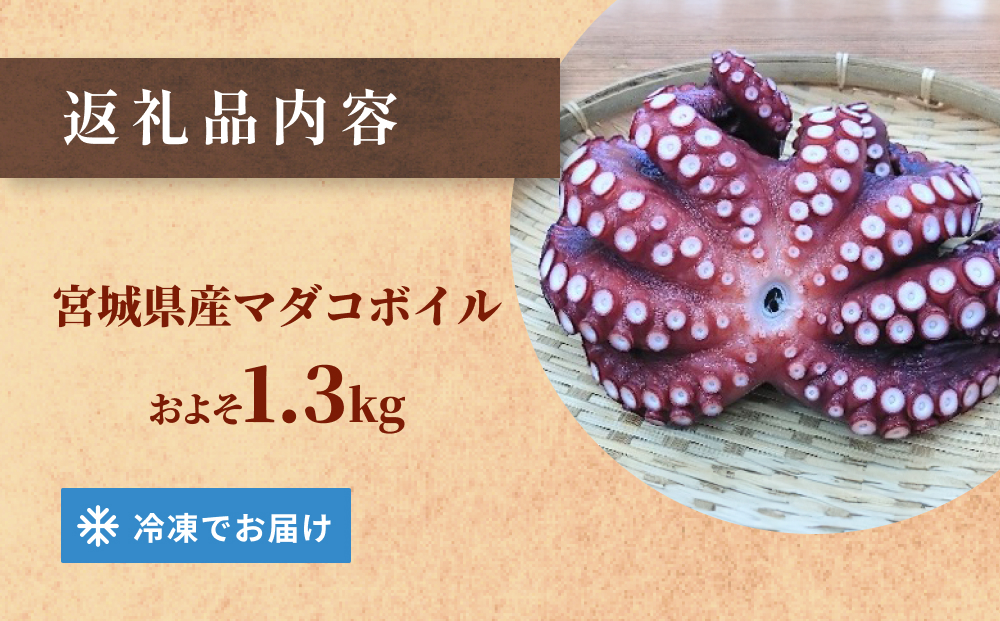 マダコ 煮たこ 石巻港 直送 たこ タコ ボイル 活マダコ 丸ご