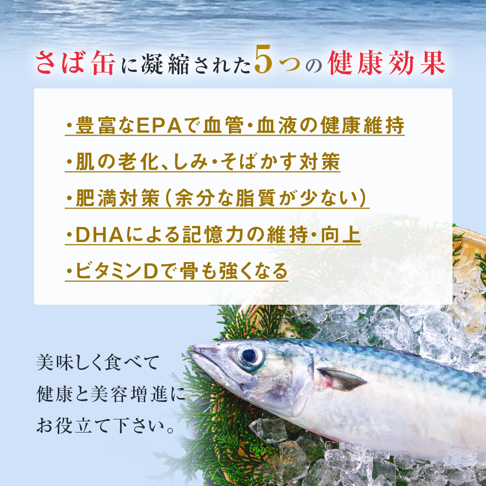 【9月配送】缶詰 さば缶詰 水煮 12缶 サバ缶 鯖缶 さば缶 鯖 