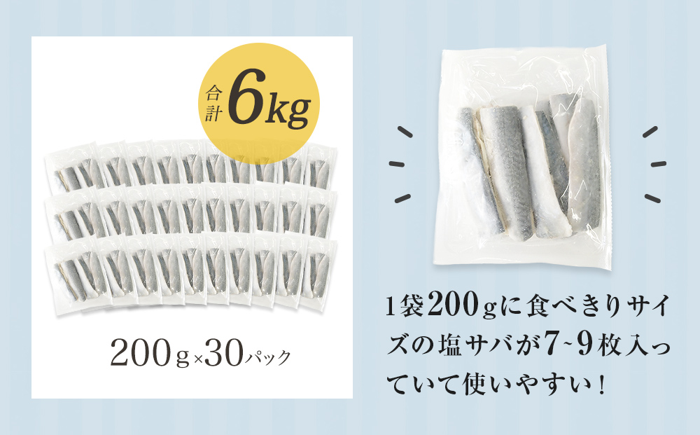 小さな 国産 塩サバ 6kg  ( 200g × 30パック ) 冷凍 サバ 鯖 魚 