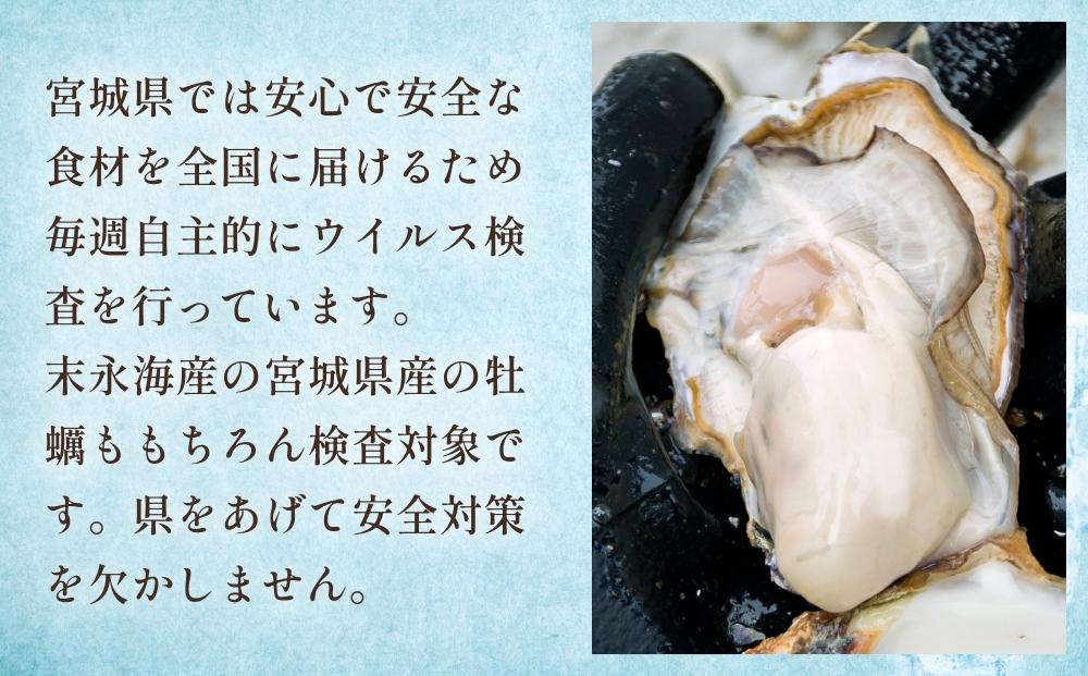 【宮城県産 生食用牡蠣】 一年子生カキ むき身 500g かき カ