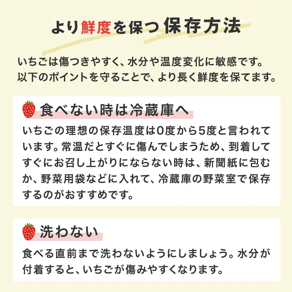 《数量限定》 ジューシー 紅ほっぺ 500g （250g × 2） 苺 いち