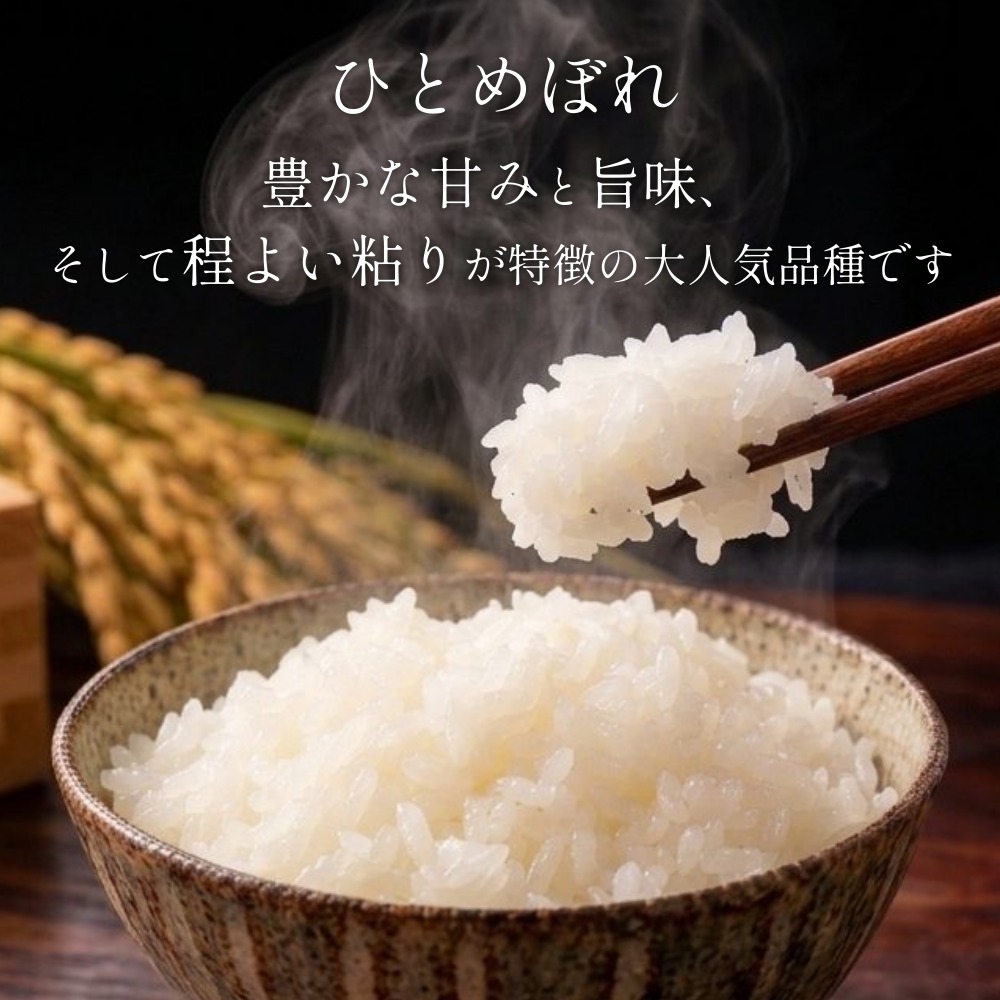 【 令和8年産 】 新米 ひとめぼれ 10kg＜ 毎月 10kg 6回 お届け 