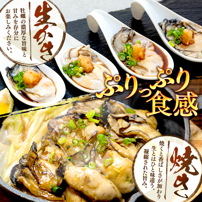 牡蠣 生食用 氷温熟成 冷凍牡蠣 生食用 170g×3袋 (510g) 宮城県
