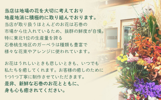 ＜定期便＞季節の定期便アレンジメント(年4回)  花 生花 フ