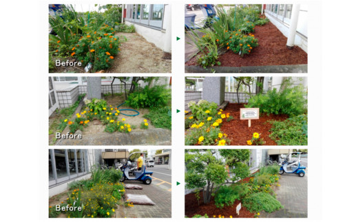 マルチング ウッドチップ スギマルチングファイバー 約100L 