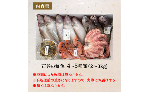 鮮魚 詰め合わせ 2～3kg（4～5種）下処理済み 漁師直送! 宮城
