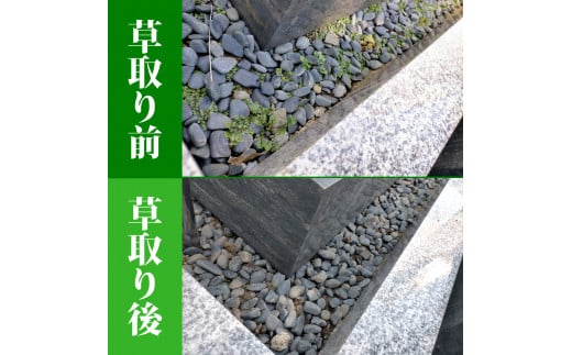お墓掃除代行（1回）写真報告付