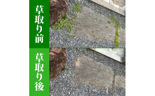 お墓参り代行／仏花・写真報告付