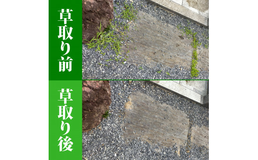 お墓参り代行／仏花の回収清掃付