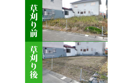 空き地の草刈り代行（10坪単位）