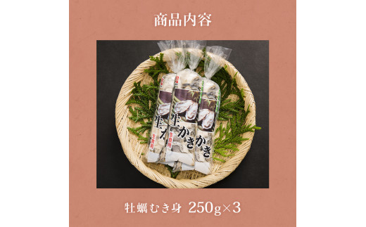 牡蠣 宮城県産 ぷりぷり 生牡蠣 むき身 750g 生食用 カキ 冷