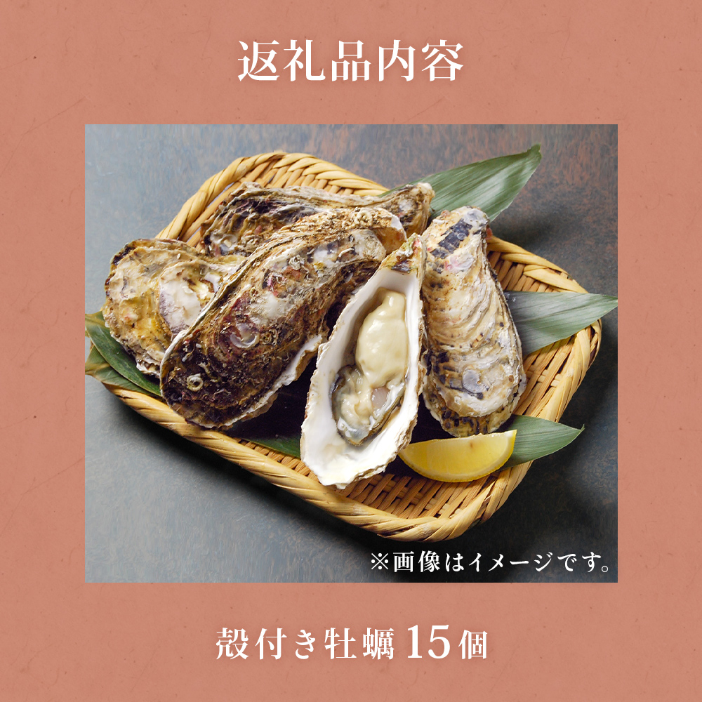 ふるさと納税 東広島市 牡蠣 詰め合わせ 殻付き 15個 むき身 500g ふるさと納税 東広島市 牡蠣 詰め合わせ 殻付き 15個 むき身 500g