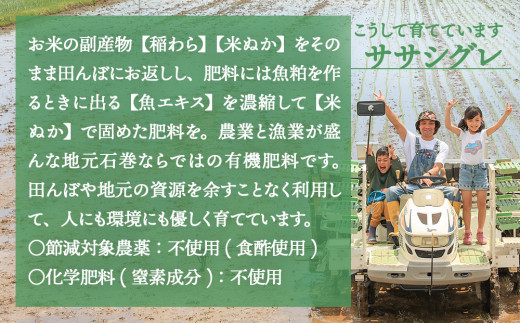 【ササシグレ】米 ササシグレ 玄米10kg 農薬不使用 化学肥料