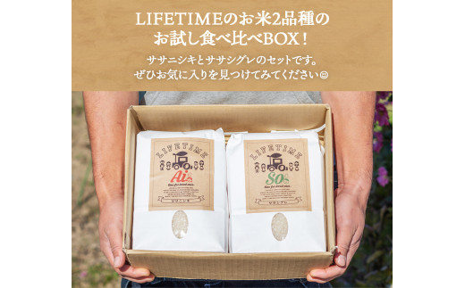 ササシグレ白米4.5kg ササニシキ白米4.5kg 食べ比べ ささしぐ