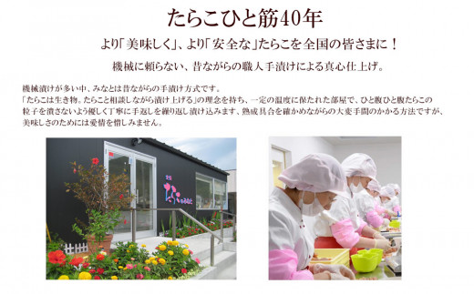 無添加明太子とふわふわセット