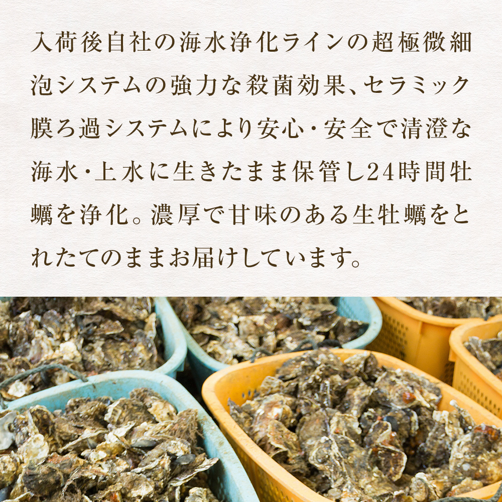 牡蠣 殻付き 生食 可 15個（5個入×3袋） 宮城県産 冷凍 小分