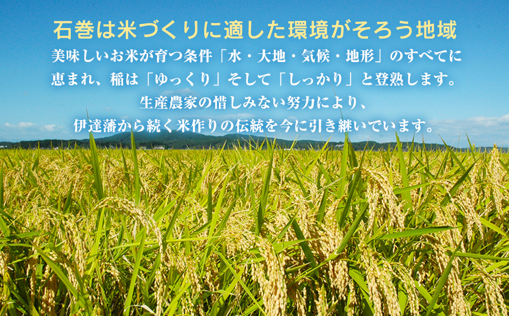 ＜定期便4回・毎月発送＞ 令和7年 だて正夢 いしのまき産米
