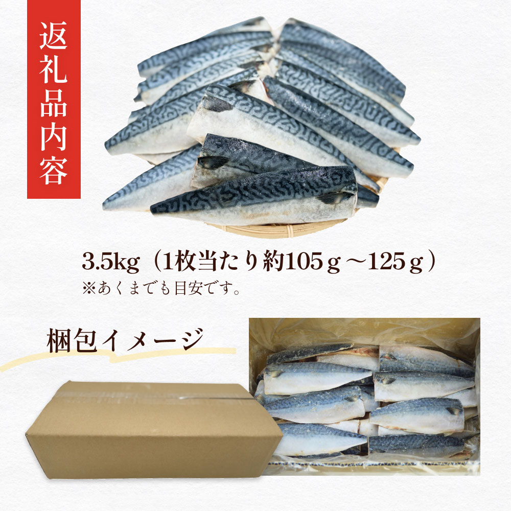 さば 〈 訳あり 〉 国産 塩さば フィーレ 3.5kg 冷凍 さば 切