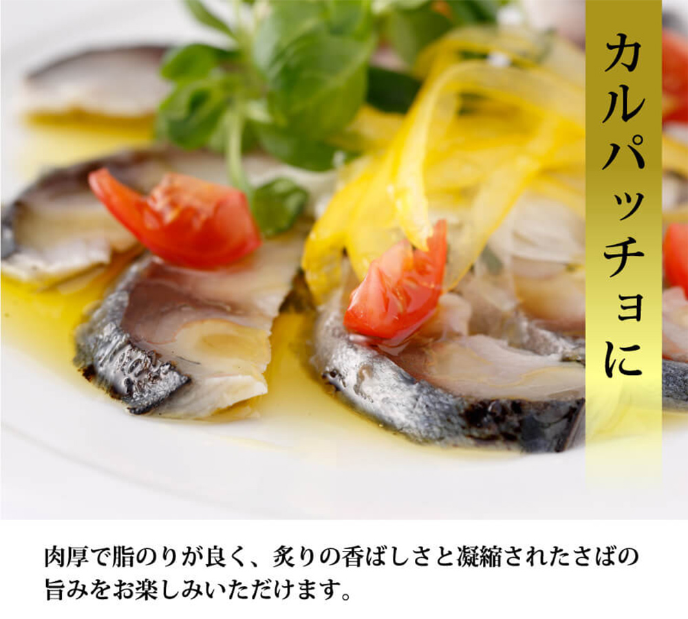 【訳あり】国産あぶりしめさば 4枚入 4パック しめ鯖 冷凍 