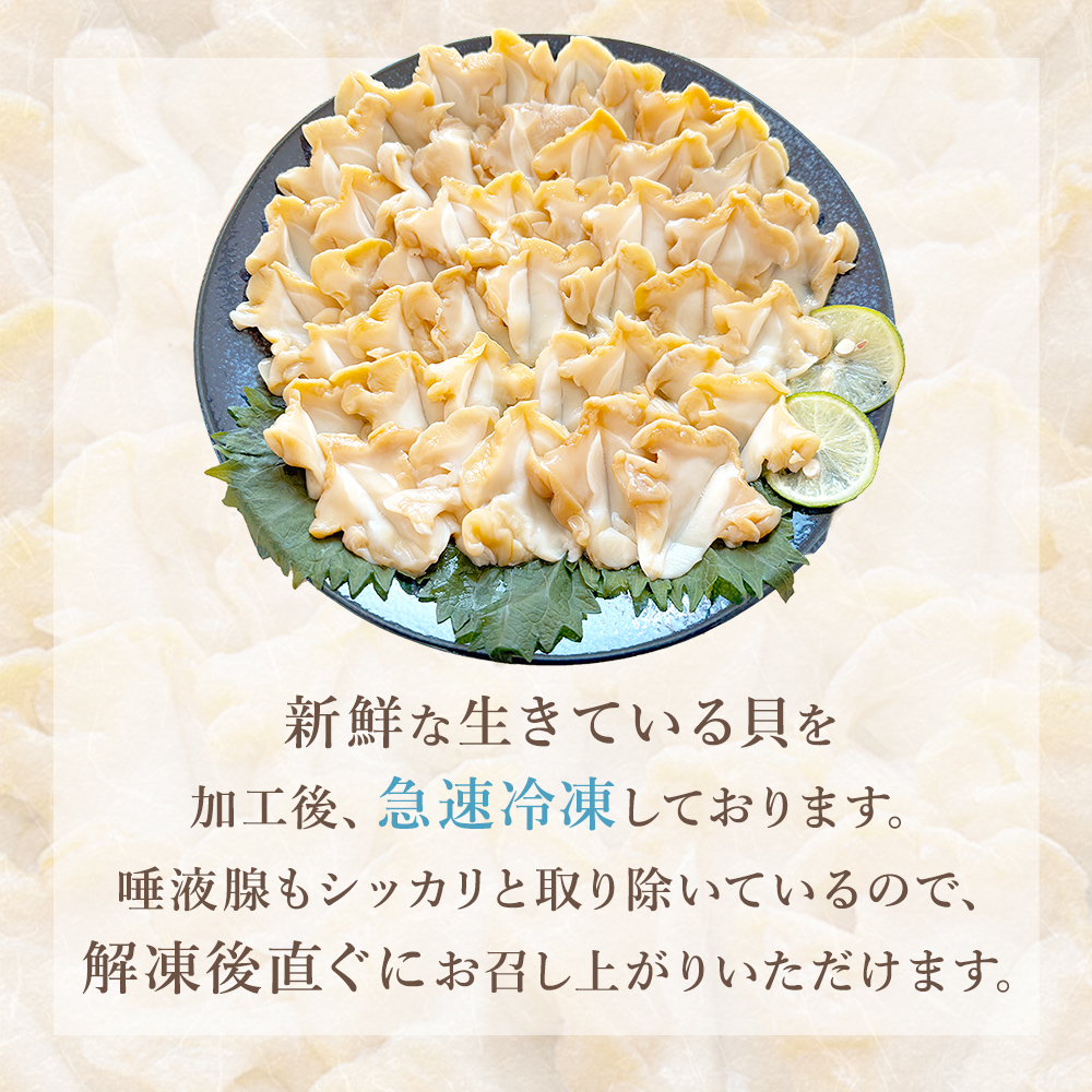 〈先行予約〉つぶ貝 刺身 つぶ刺し 300g ツブ貝 ツブ刺し つ