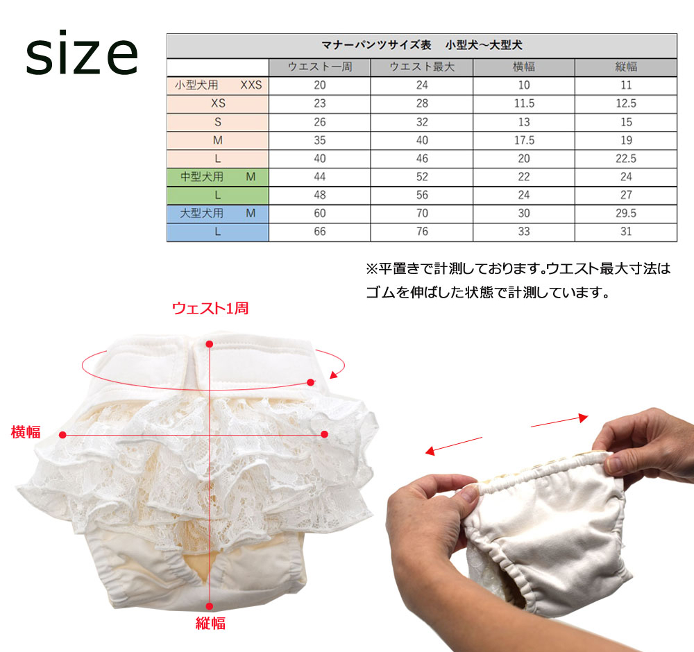 レースマナーパンツ ベージュ 中型犬M ペット用 犬 お出か