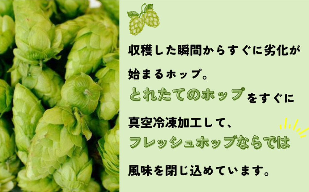 石巻クラフトビール 缶 飲み比べ 3種 3本セット クラフトビ