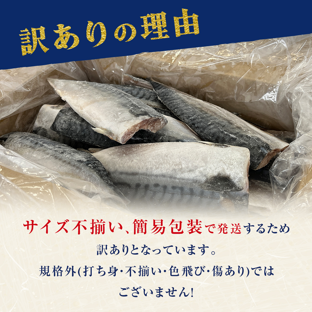 ＜ 訳あり ＞ 無塩サバフィレ 1kg 無添加 魚 さばフィーレ 無