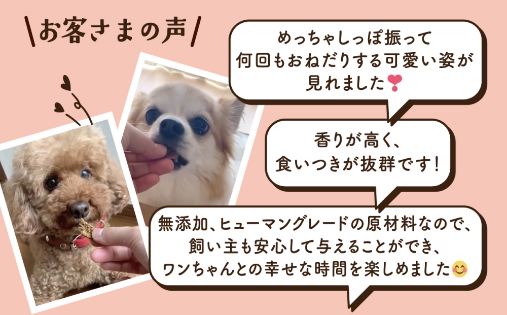 ワンちゃんのおやつ 豚 ４袋 ドッグフード 犬 おやつ 無添