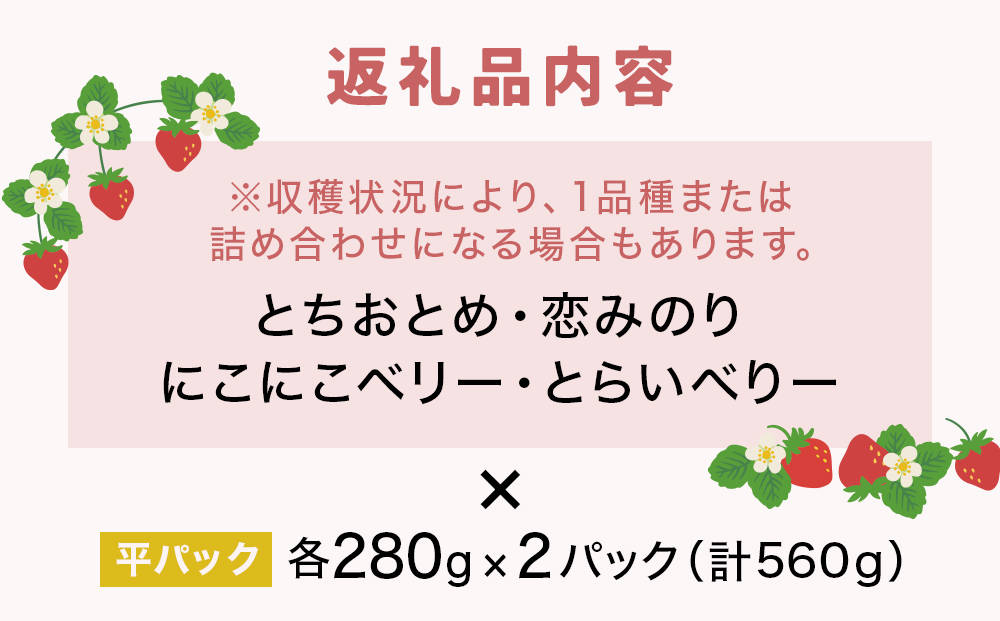 【2026年1月中旬発送開始】 いちご とちおとめ 恋みのり に