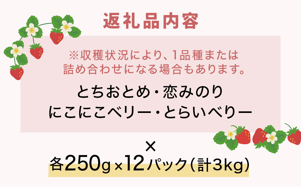 【2026年1月中旬発送開始】 いちご とちおとめ 恋みのり に
