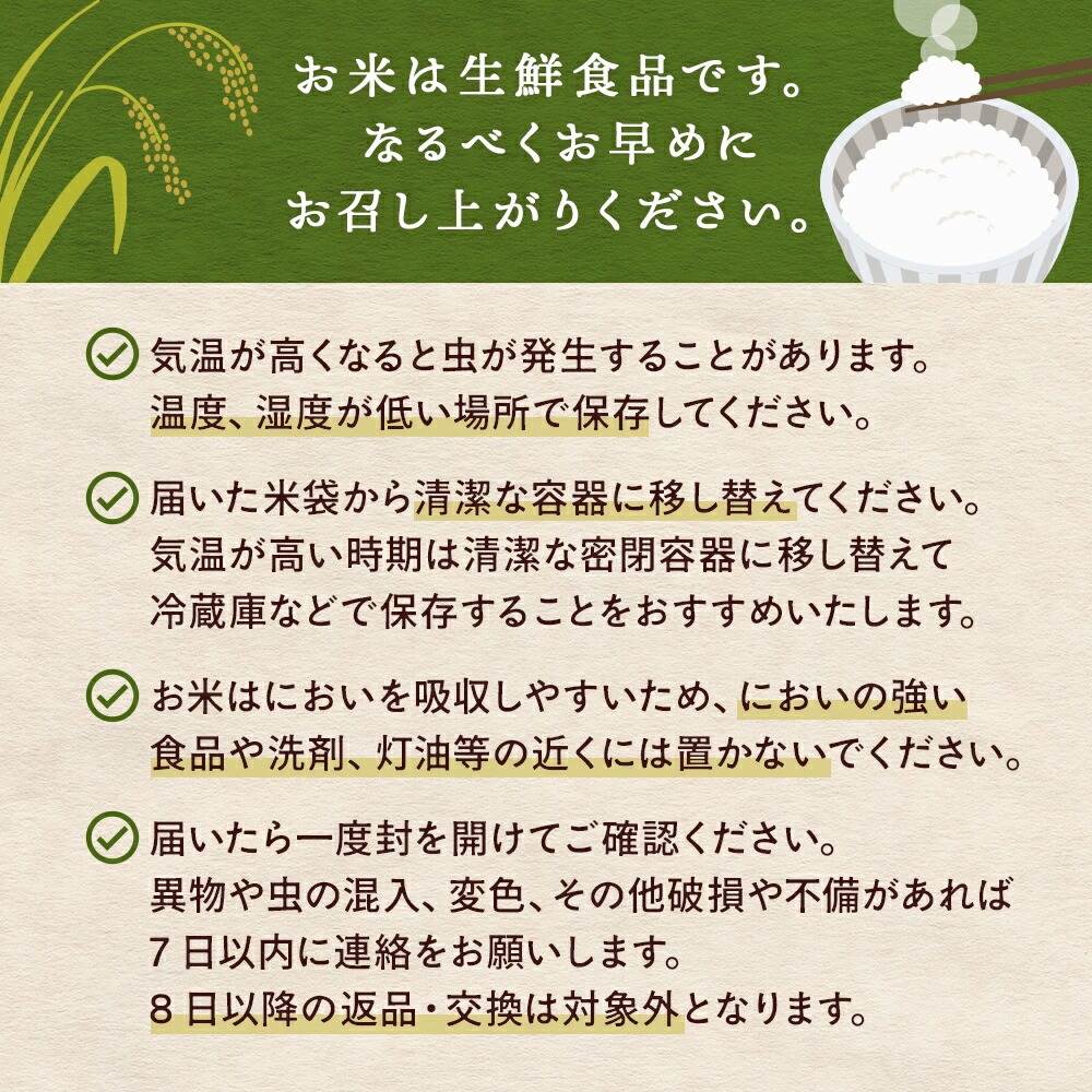 米 令和7年産 ひとめぼれ 精米 5kg 単品 こめ コメ お米 ご飯 