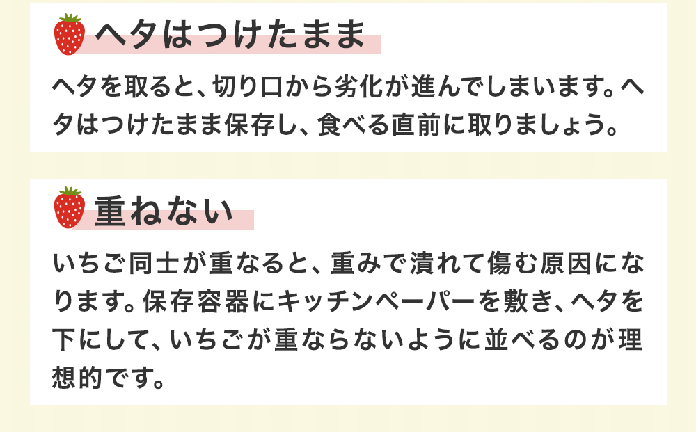 《数量限定》 ジューシー 紅ほっぺ 1kg （ 250g × 4） 苺 いち