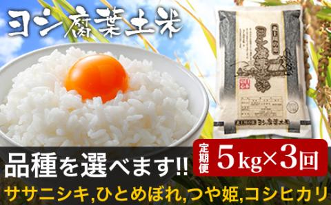 令和5年産<定期便>ヨシ腐葉土米 精米15kg(5kg×3回発送)ササニシキ