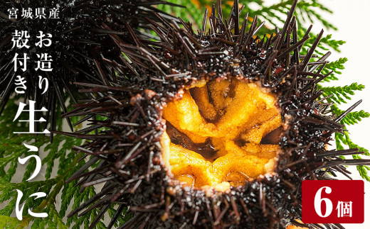 宮城県産 お造り生うに 6個 生ウニ 生雲丹 うに ウニ 雲丹 
