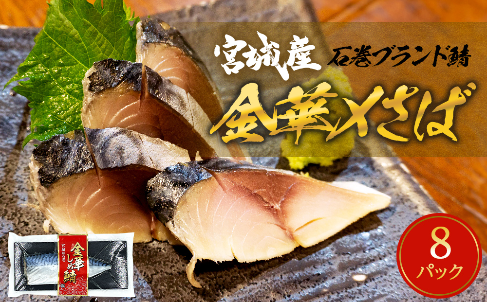鯖 しめ鯖 宮城県産 金華しめ鯖 個包装 1枚×8パック 約960g 