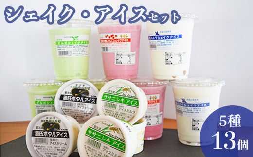 ずんだシェイク・アイス5種13個セット ずんだシェイク 塩バ