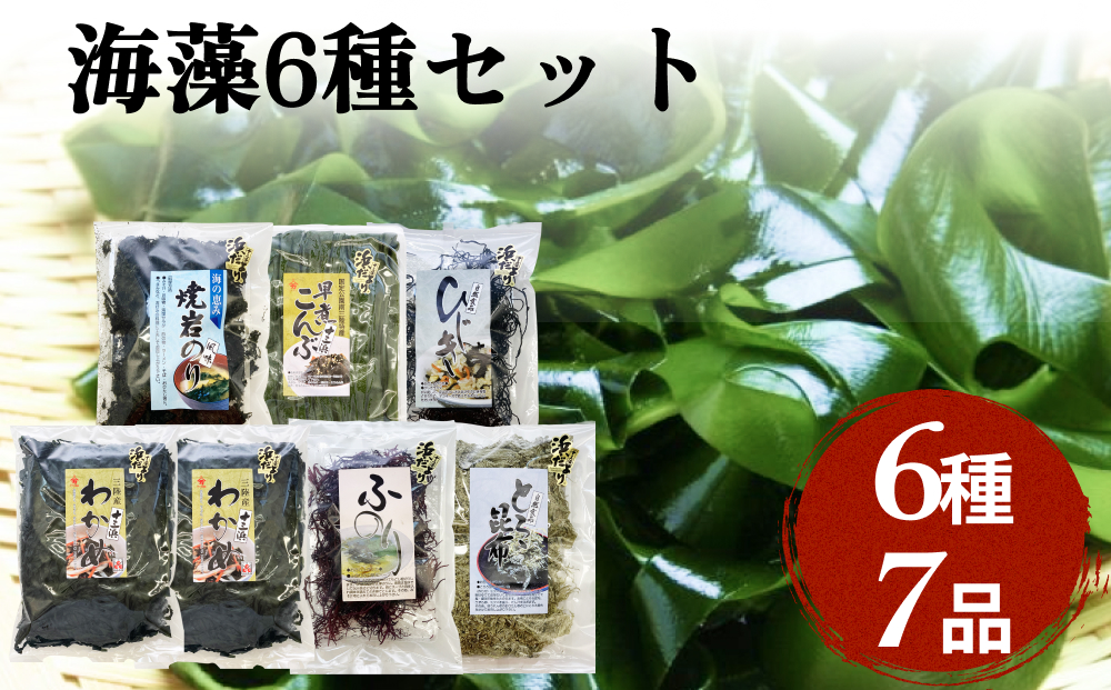 十三浜 浜だより 海藻 6種7品 塩蔵わかめ 早煮こんぶ とろろ