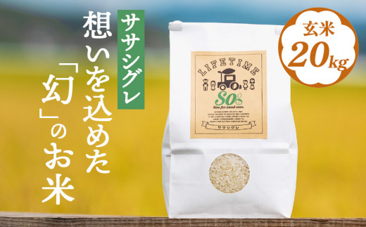 米 ササシグレ 玄米 20kg 農薬不使用 化学肥料不使用 ささし