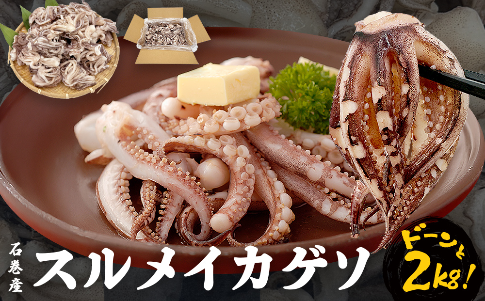 〈 訳あり 〉スルメイカ ゲソ 石巻産 (2kg)  宮城県産 冷凍 国