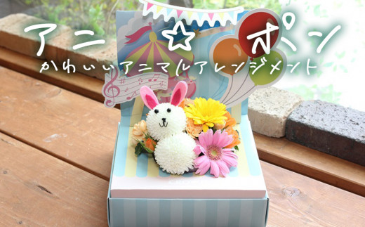 アニ☆ポン（うさぎ）  花 生花 花束 動物 うさぎ 可愛い ギ