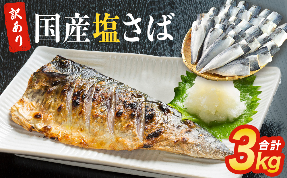 さば 〈 訳あり 〉 国産 塩さば フィーレ 3kg 冷凍 さば 切身 