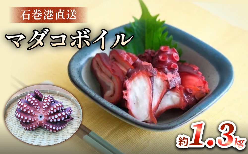 マダコ 煮たこ 石巻港 直送 たこ タコ ボイル 活マダコ 丸ご