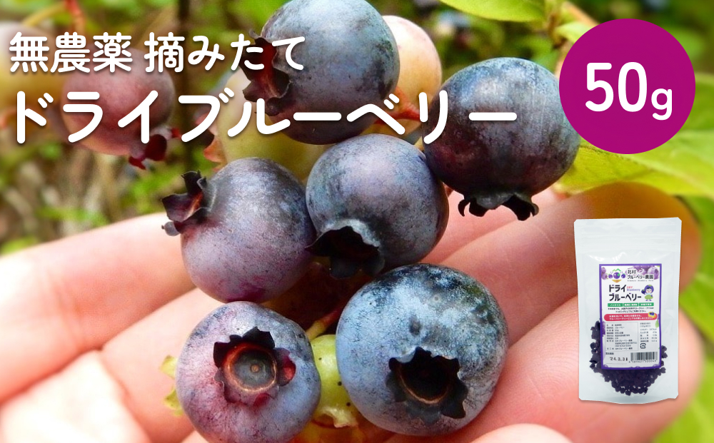 ＜ 先行予約 ＞ ドライブルーベリー 50g 無添加 摘みたて 砂