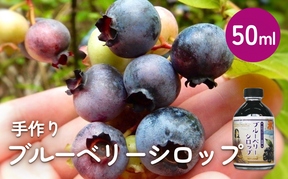 ＜ 先行予約 ＞ ブルーベリー シロップ50ml 手作り 果汁 フ