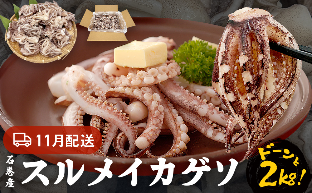 訳あり 石巻産スルメイカゲソ 2kg 11月配送 冷凍 国産 いか 