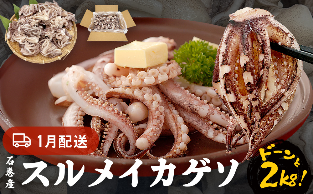 訳あり 石巻産スルメイカゲソ 2kg 1月配送 冷凍 国産 いか 下