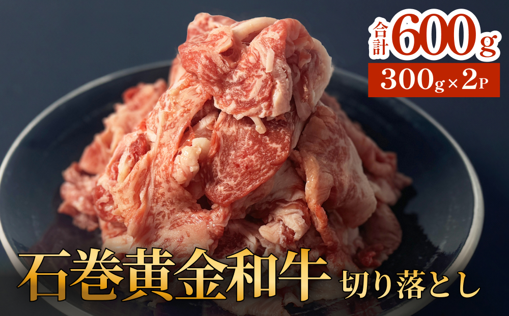 牛肉 石巻 黄金 和牛 切り落とし 300g×2P 赤身 国産 美味しい 