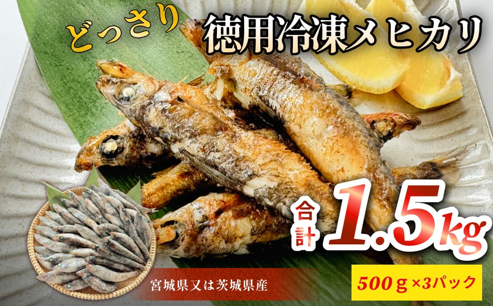徳用冷凍メヒカリ（どっさり1.5kg）目光 魚 冷凍 唐揚げ 塩