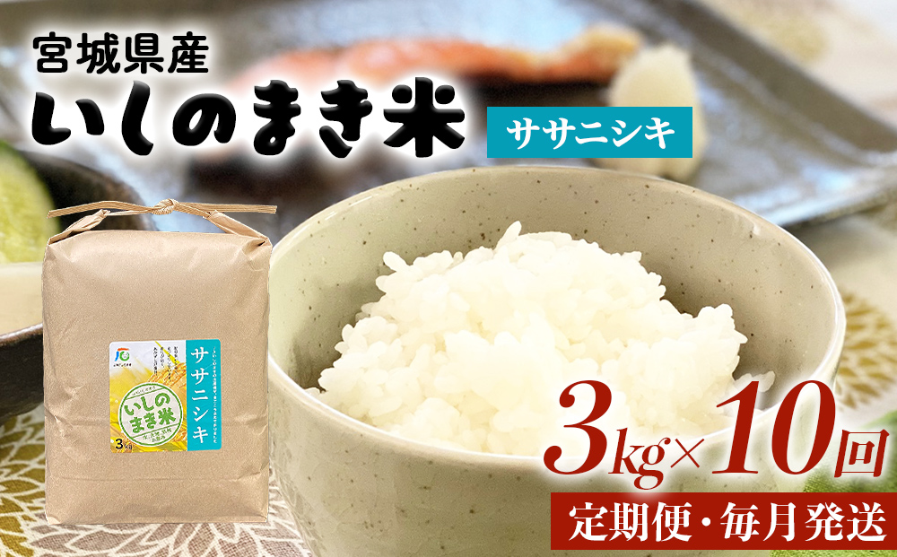 令和６年産 米 ササニシキ 定期便 3kg × 10回 お米 精米 白米 